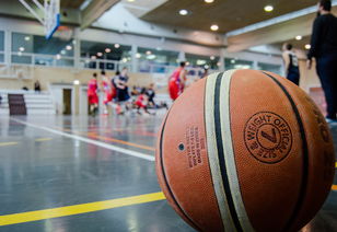 MILANSPORT入口-篮球运动员专项技能动作视频教学资源建设与应用研究，篮球运动技能简介