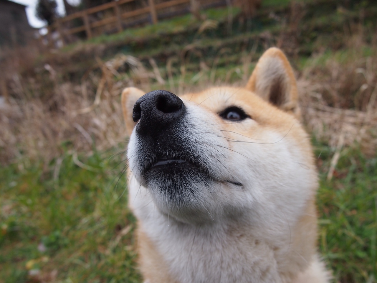 Milan Sports-中超联赛中国女足晋级 球员状态持续稳定，2020年中超女足