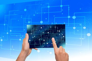 AC米兰-美国队未来展望：从青少年到顶级选手的培养路径，美国队长训练计划