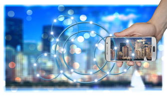 AC米兰-美国队未来展望：从青少年到顶级选手的培养路径，美国队长训练计划