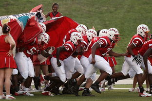 MILANSPORT下载-体育新闻中心赛前状态追踪，体育新闻预告