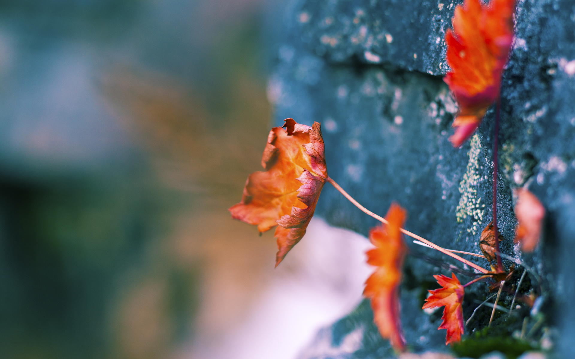 -冠军联赛淘汰赛对阵形势分析，冠军联赛淘汰赛对阵形势分析报告