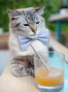 MILANSPORT下载-利物浦欧冠赛场奋勇争先，目标再夺桂冠