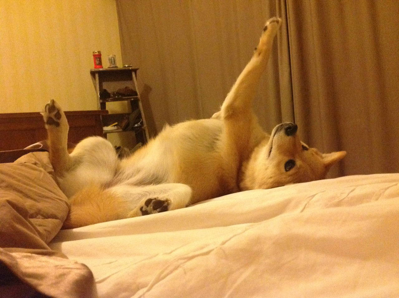 AC米兰-吉尔吉斯斯坦仰泳选手实力提升显著，吉尔吉斯斯坦帅哥