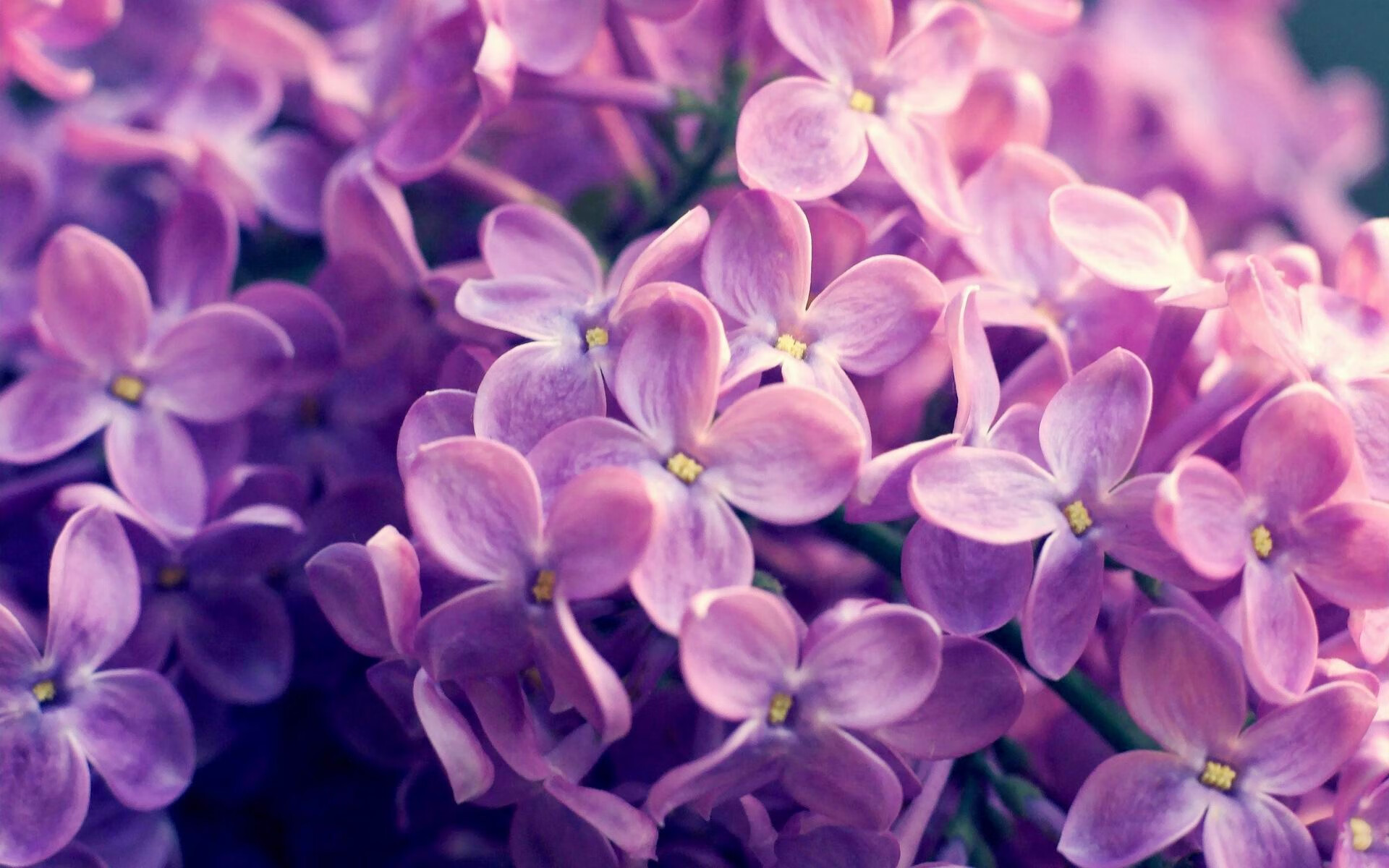 米兰体育官网-实力派蛙将普里戈达表现不俗,普里戈金百度百科