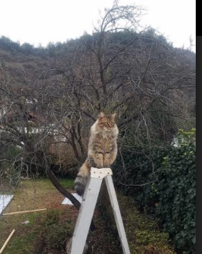 AC米兰-库里强调团队配合胜于个人数据，库里和队友