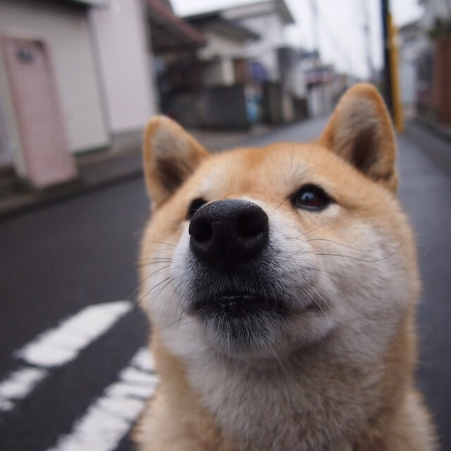 AC米兰-意甲百战不殆:细节中体现战术层次,意甲最快百球