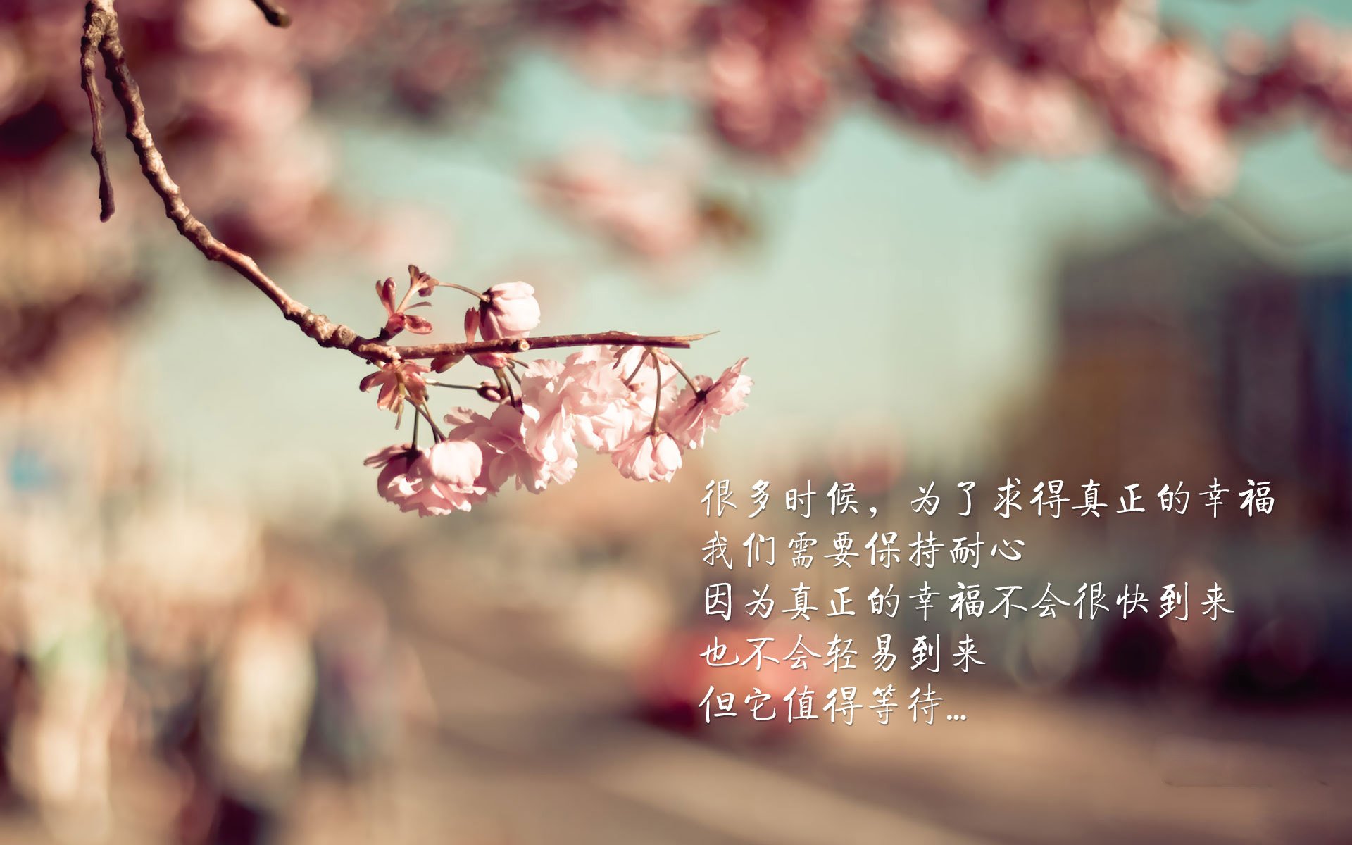 AC米兰-战术纪律执行严谨防守体系形成闭环有效限制对手进攻,紧闭防守