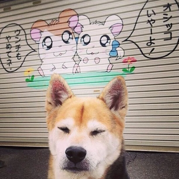 米兰体育-欧洲杯精彩纷呈:变阵、突破、奇迹不断!,欧洲杯秒懂百科