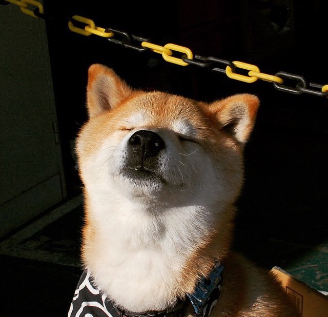 米兰体育APP-CBA是否支持球员自愿参与战术系统内部测试计划，cba参赛资格