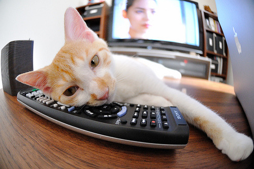 MILANSPORT下载-Rivera 主导进攻，多次助攻得分