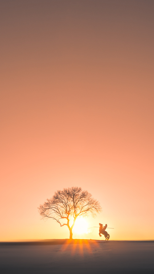 -“伊万·戈梅斯的攻防全能与运动天赋，助力阿根廷美洲狮队进入世界强队行列”