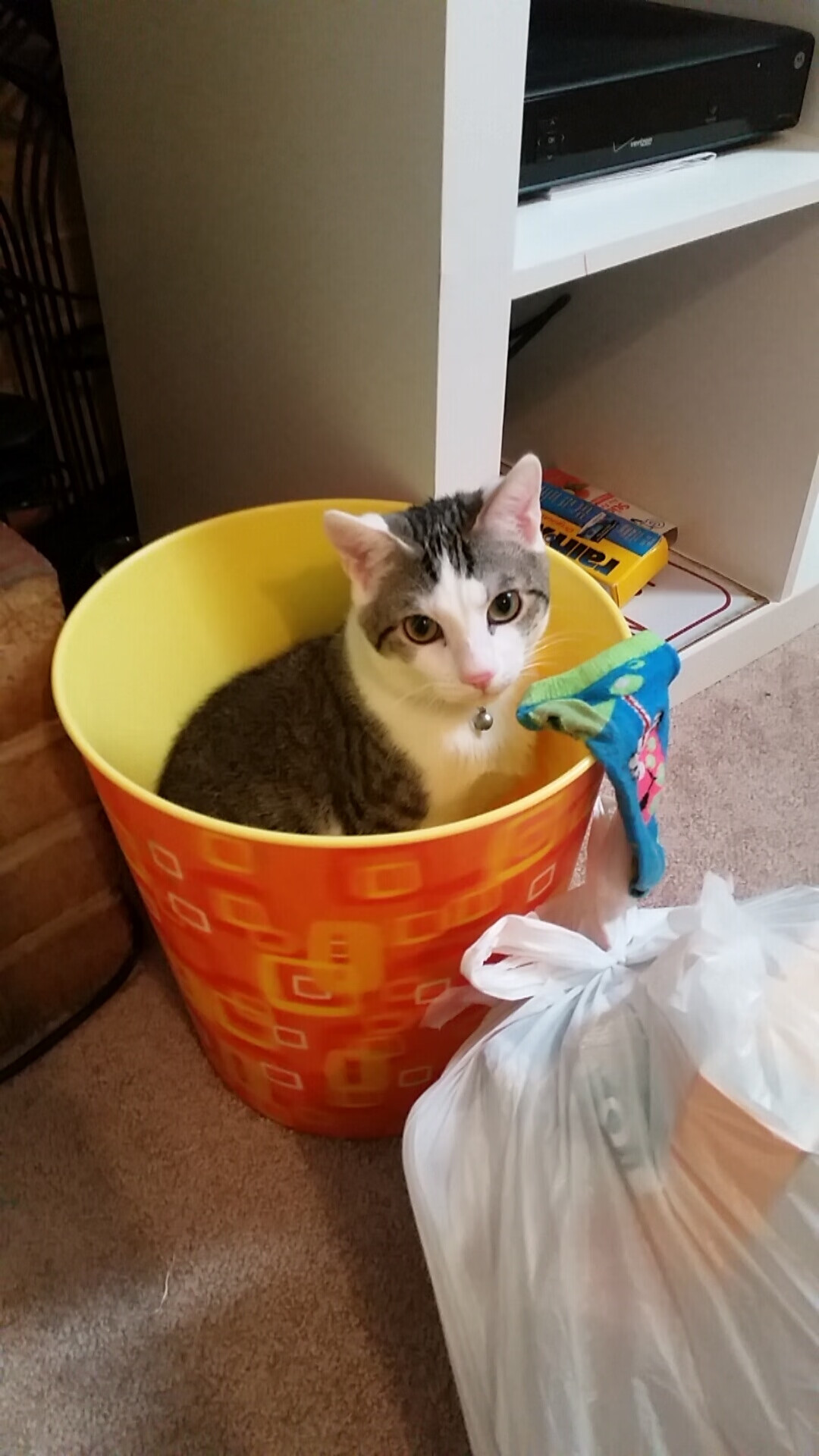 米兰登录入口-《冠军奥运篇》韩旭展望奥运赛场表现，韩旭在wnba