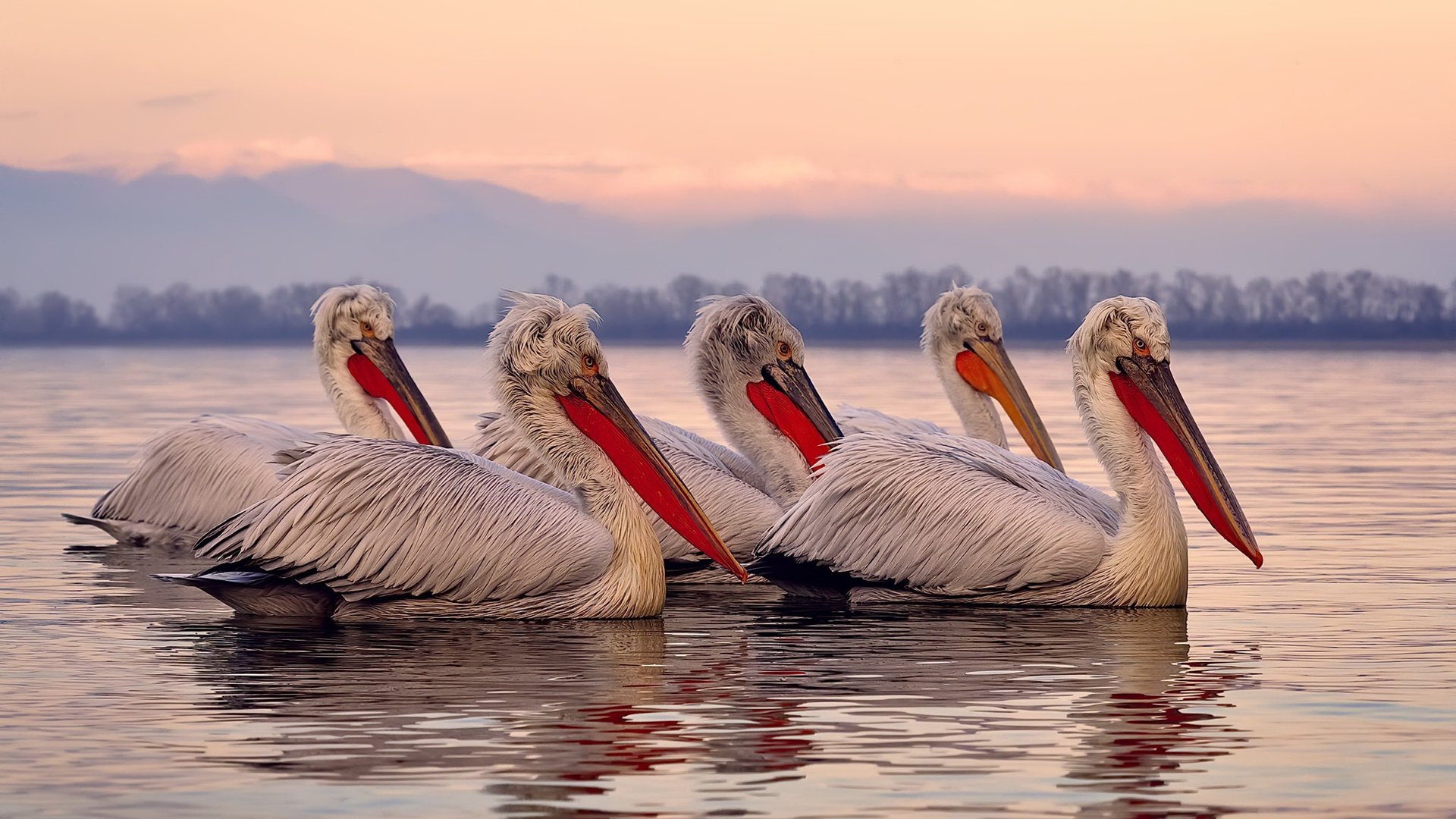 -上任仅数日，滕哈赫未能带来赛季首胜就离开药厂，滕哈格执教水平